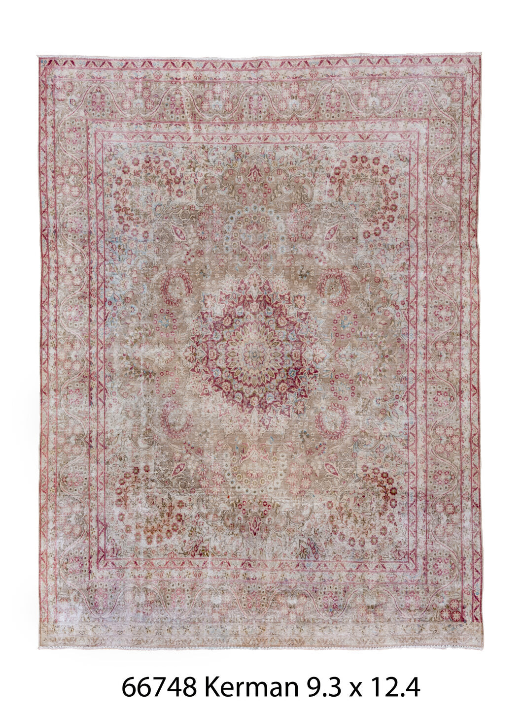 C66748 Rug