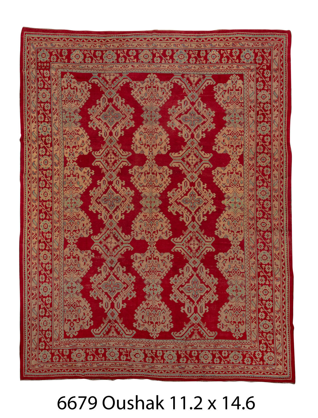 C06679 Rug