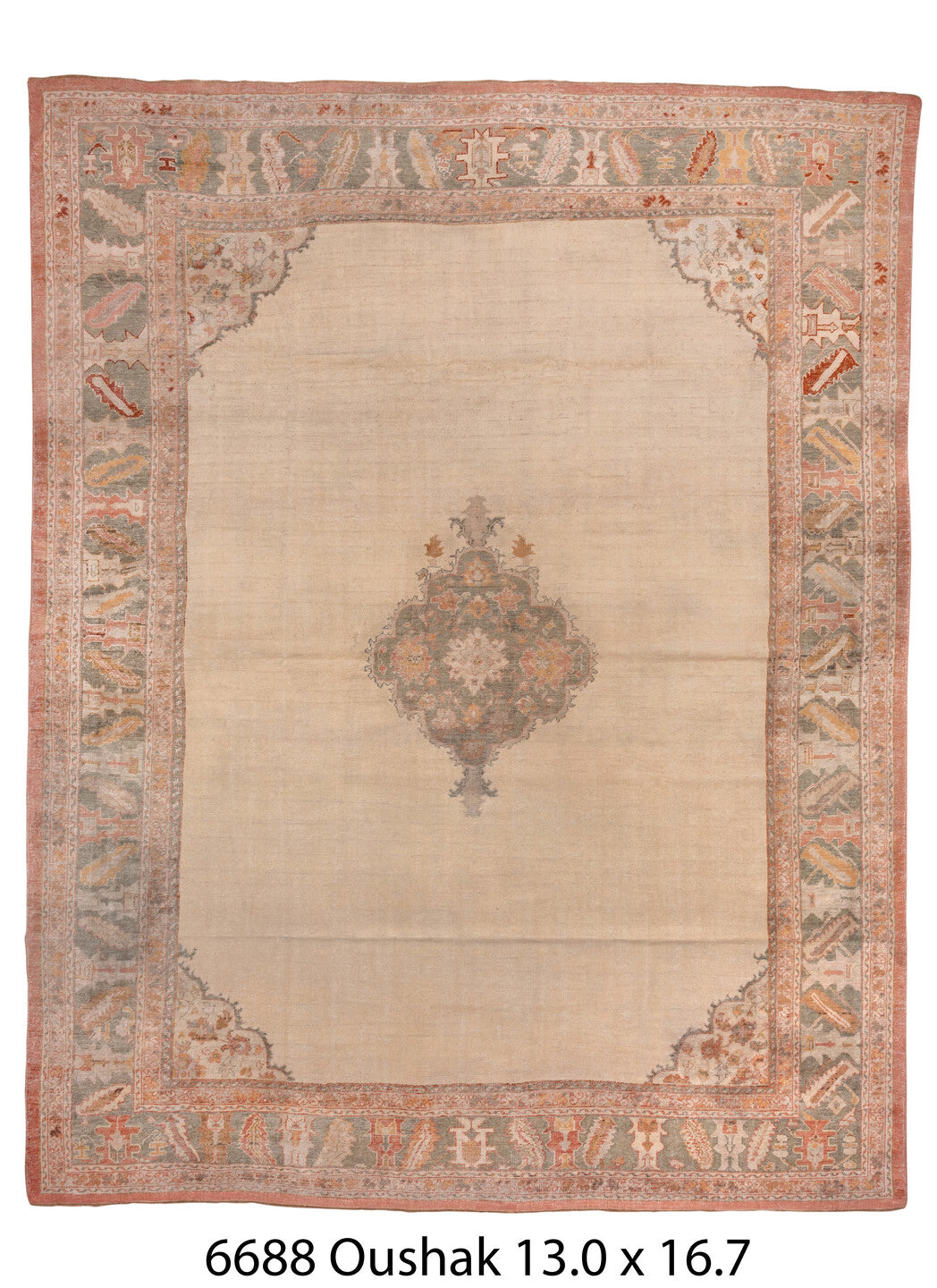 C06688 Rug