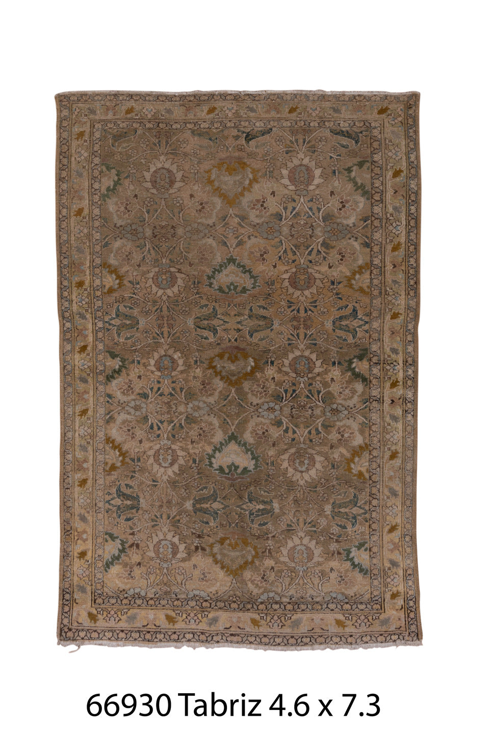 C66930 Rug