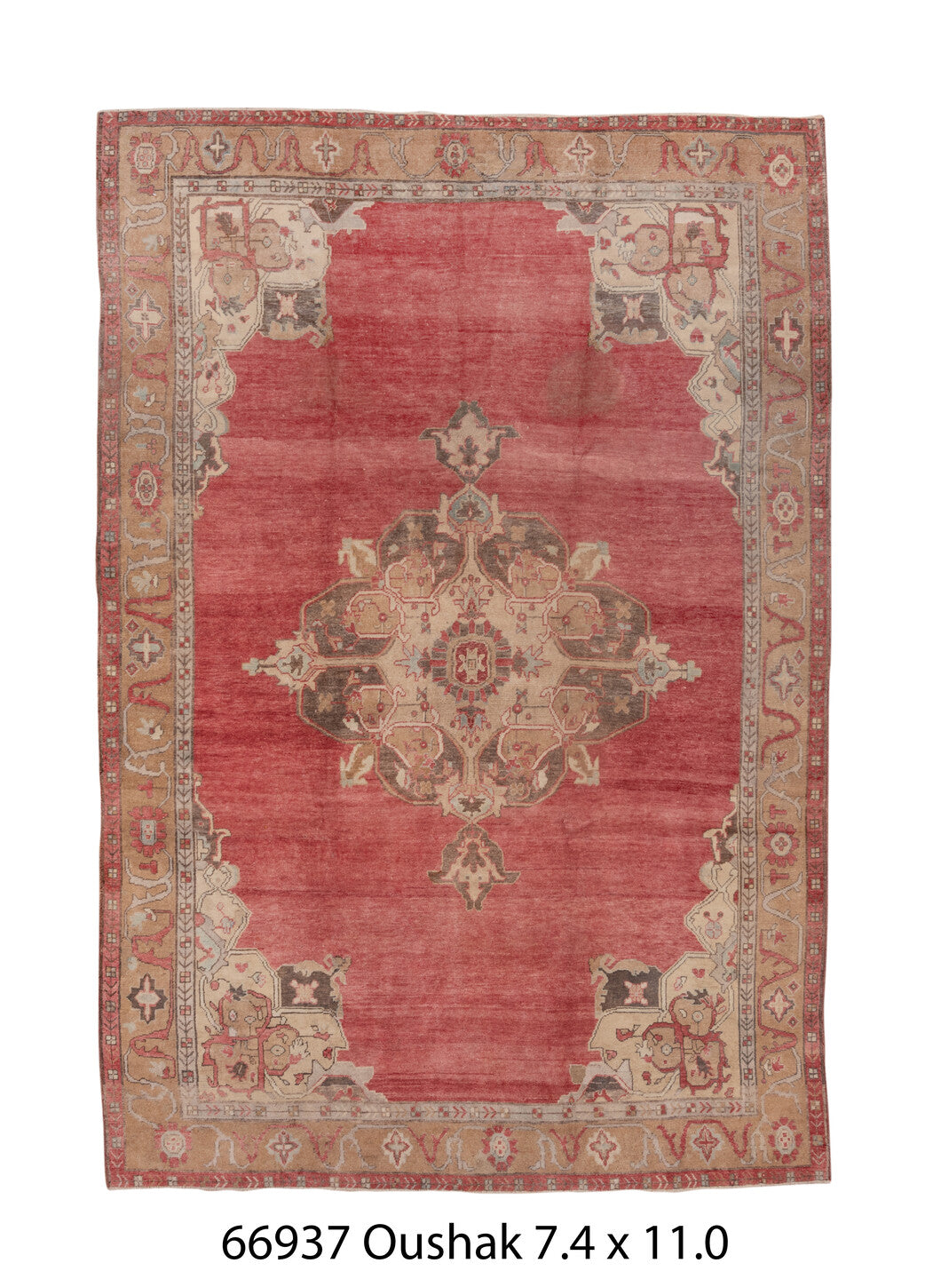 C66937 Rug