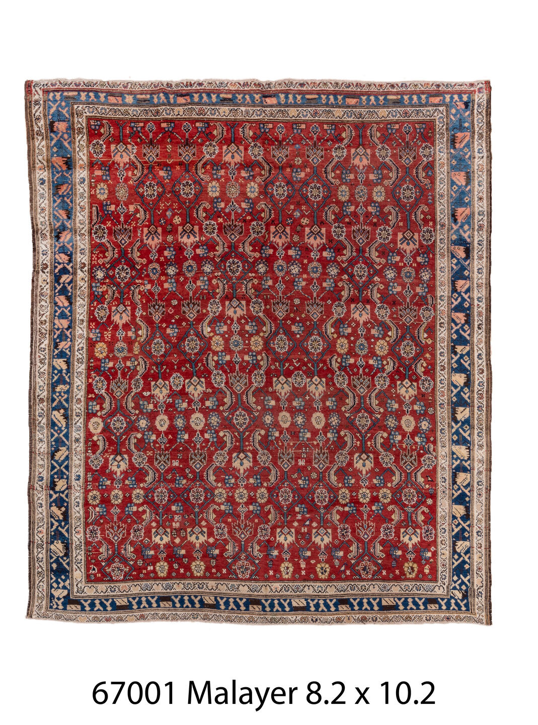 C67001 Rug