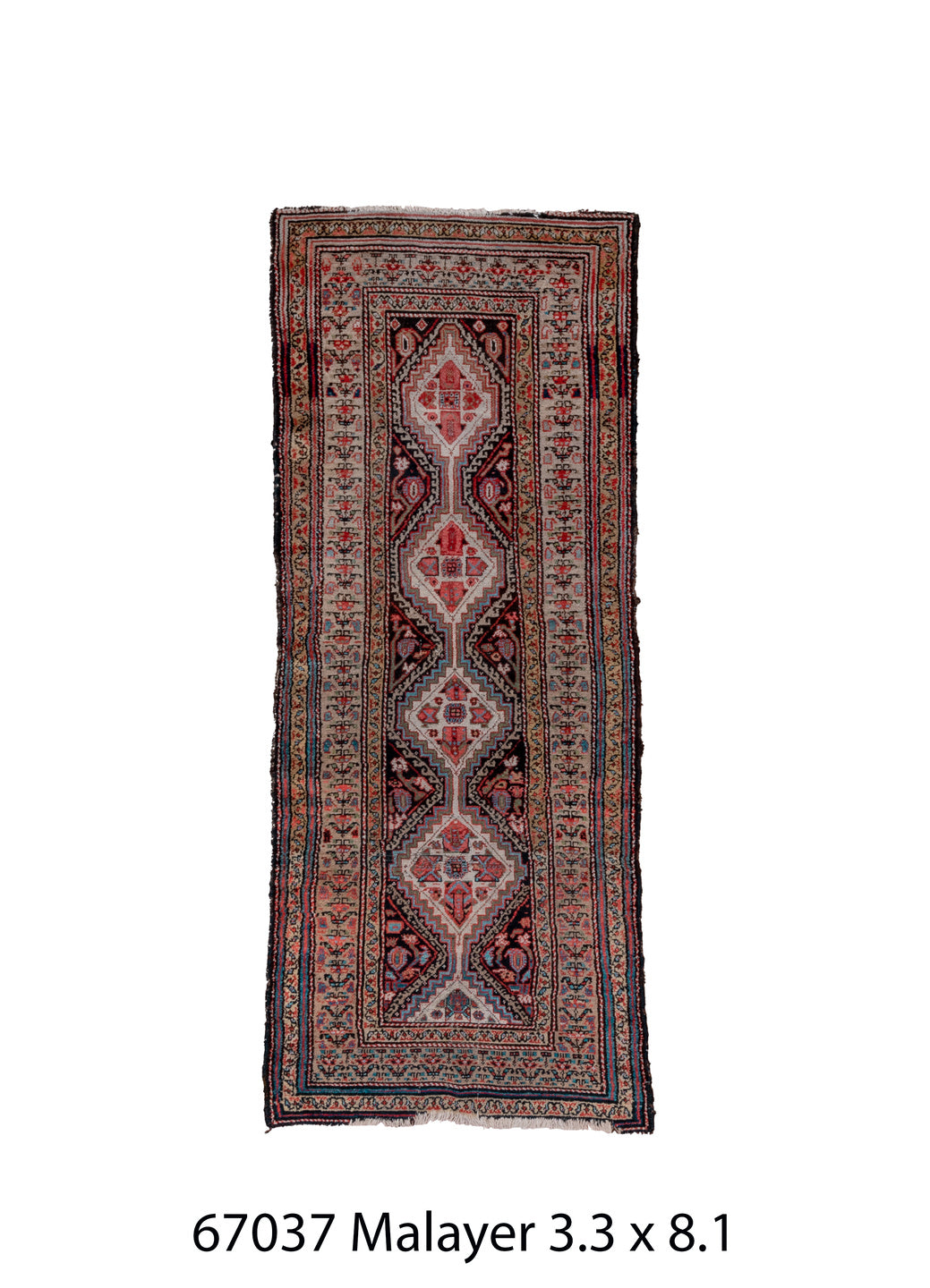 C67037 Rug