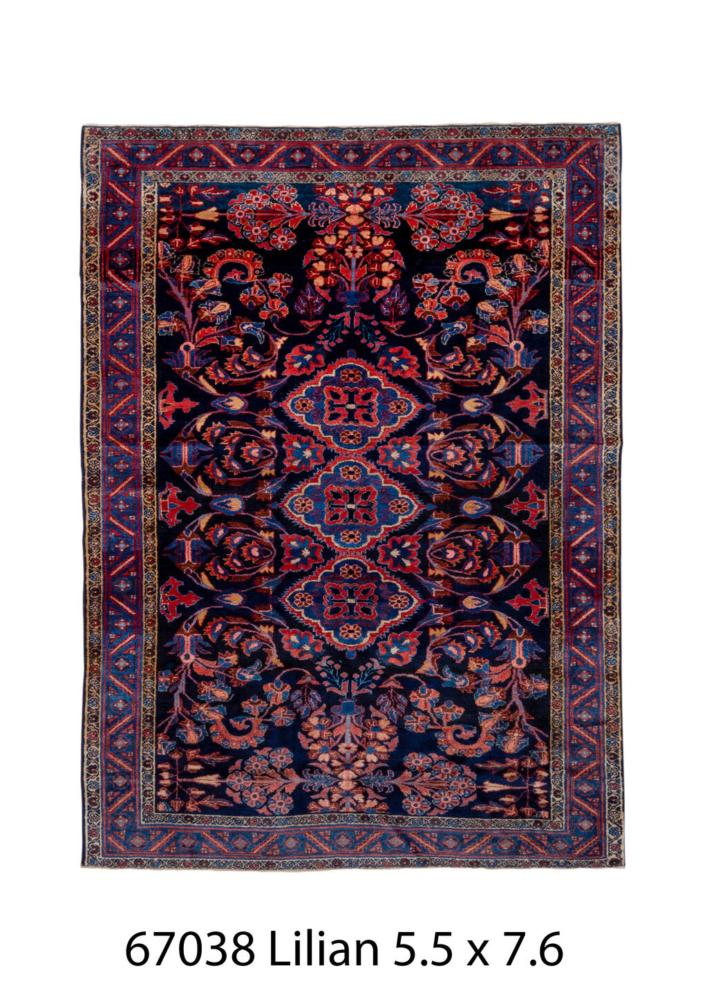 C67038 Rug