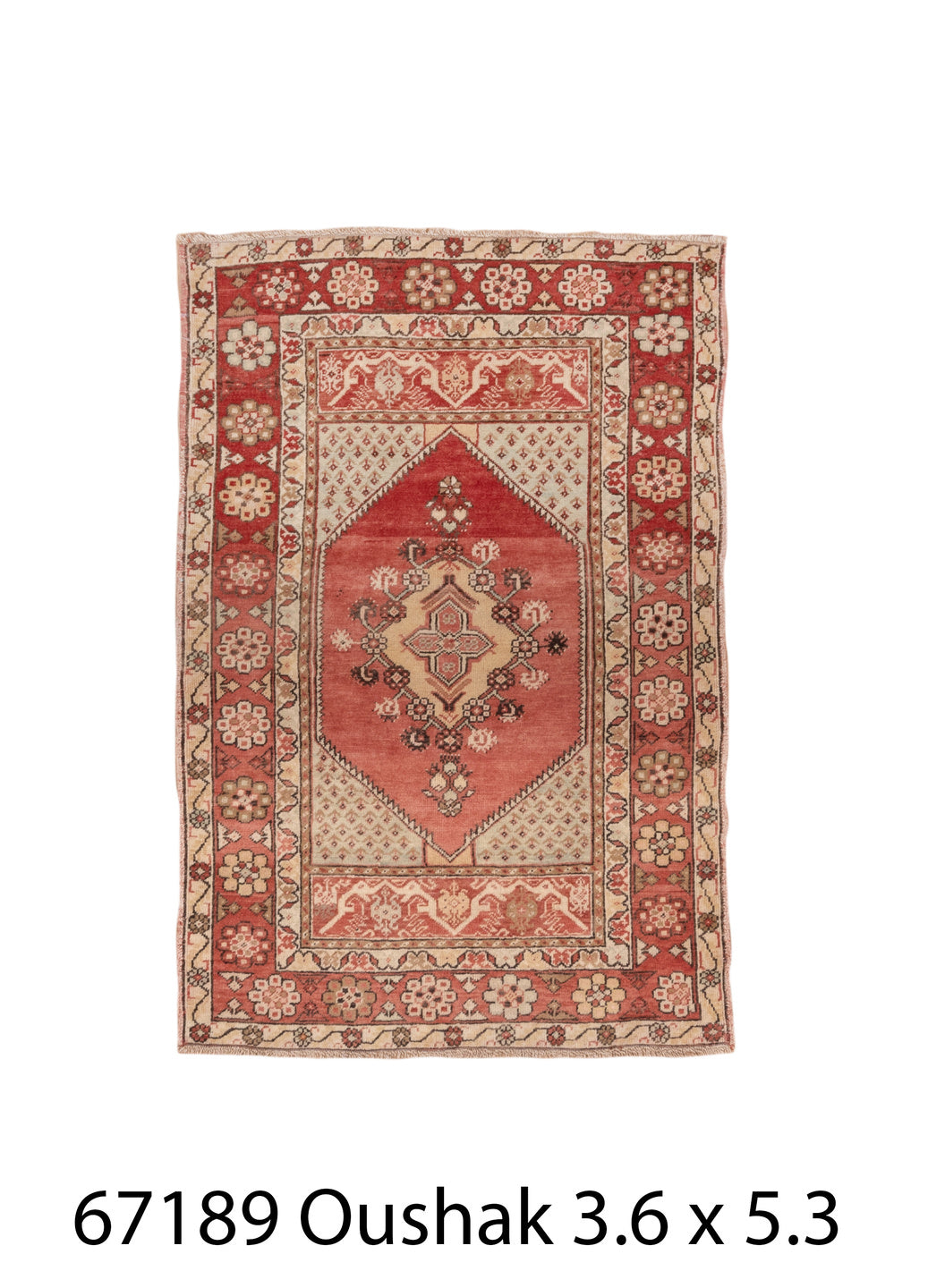 C67189 Rug