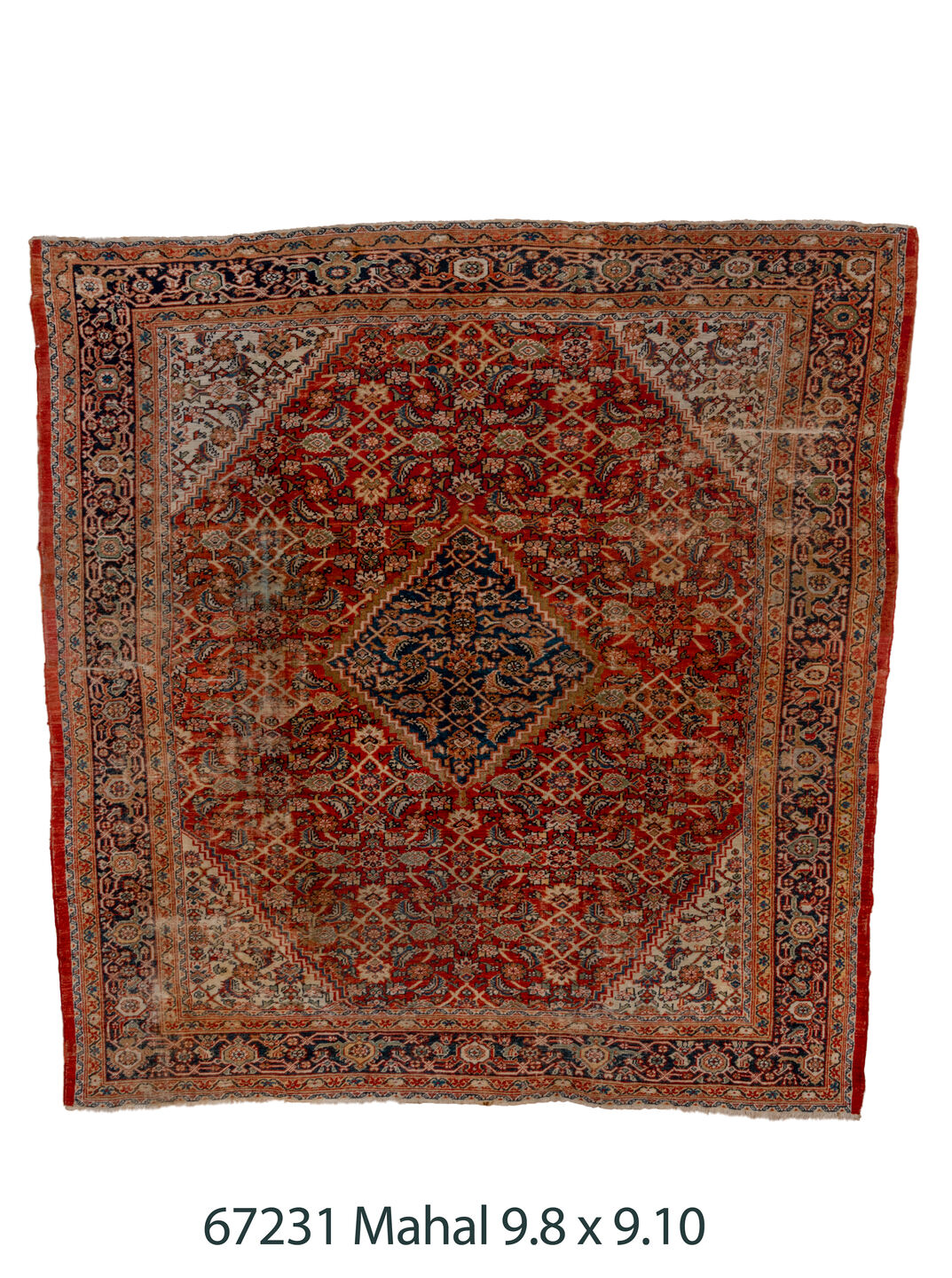 C67231 Rug
