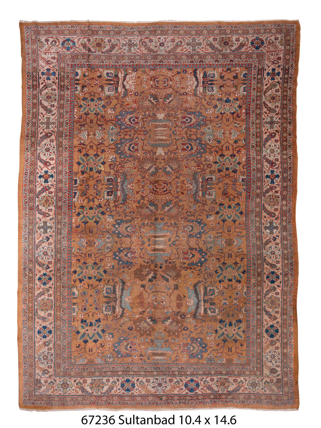 C67236 Rug