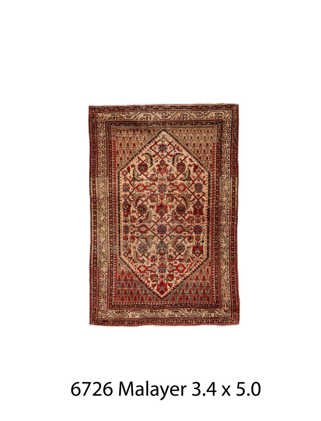 C06726 Rug