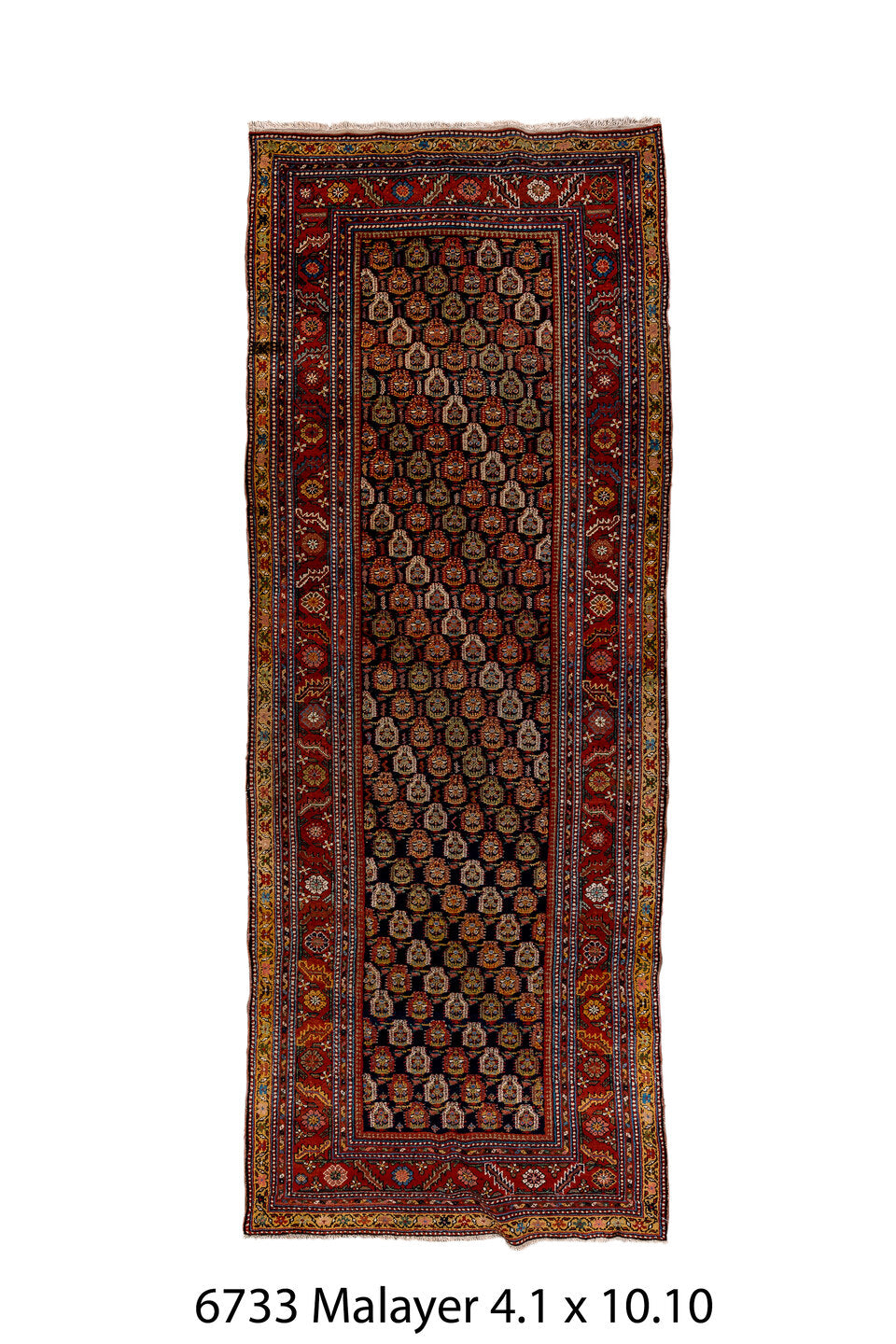 C06733 Rug