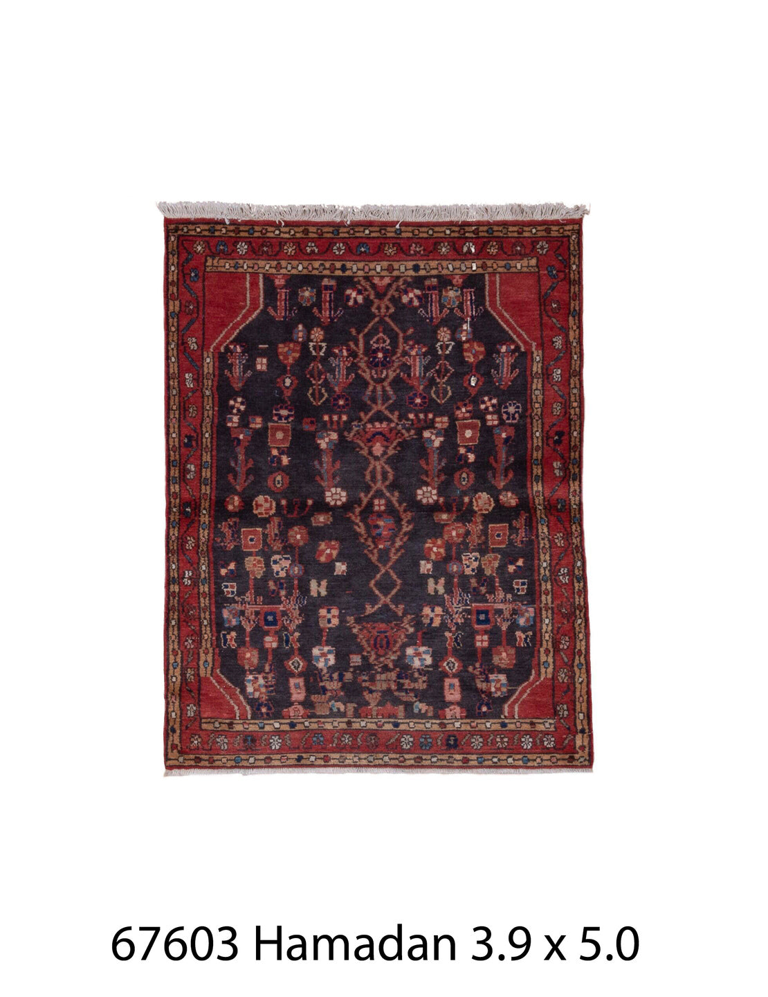 C67603 Rug