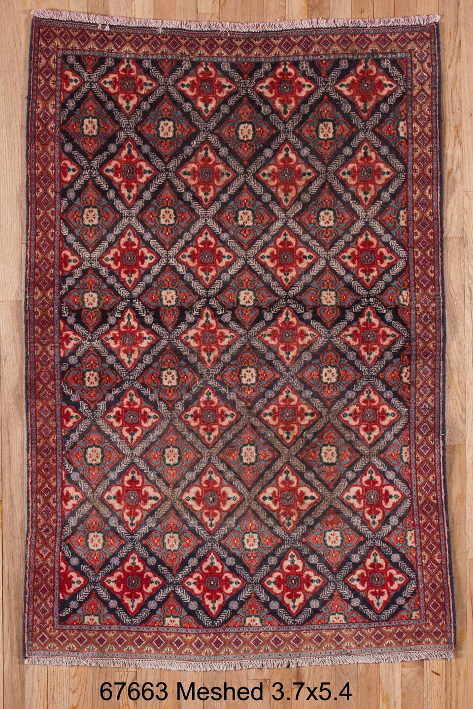 C67663 Rug