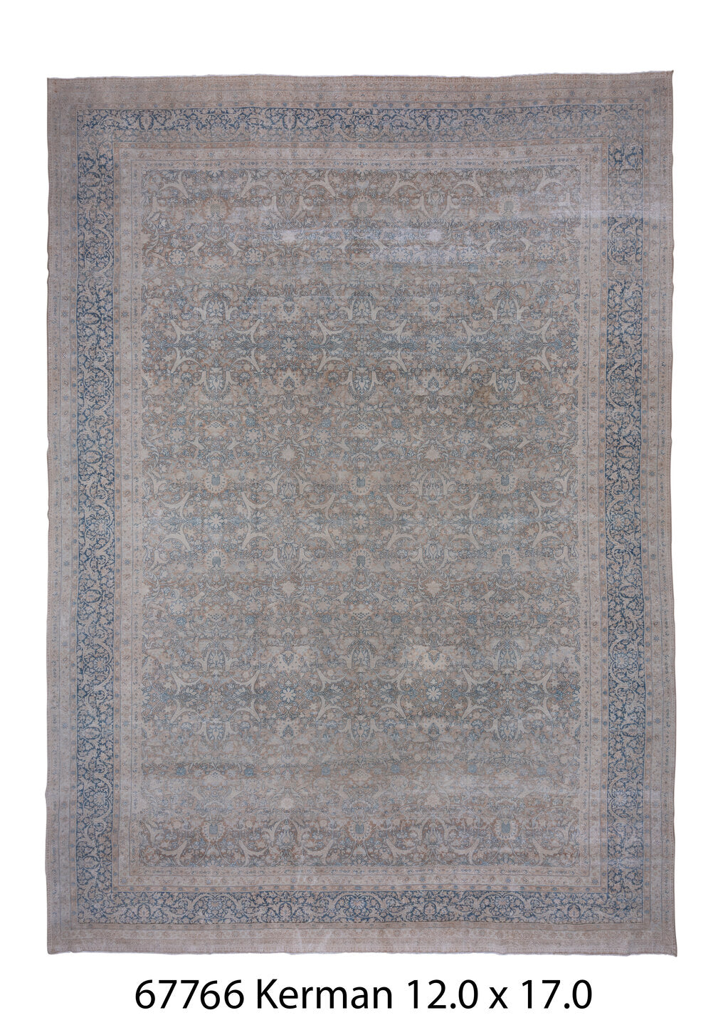 C67766 Rug