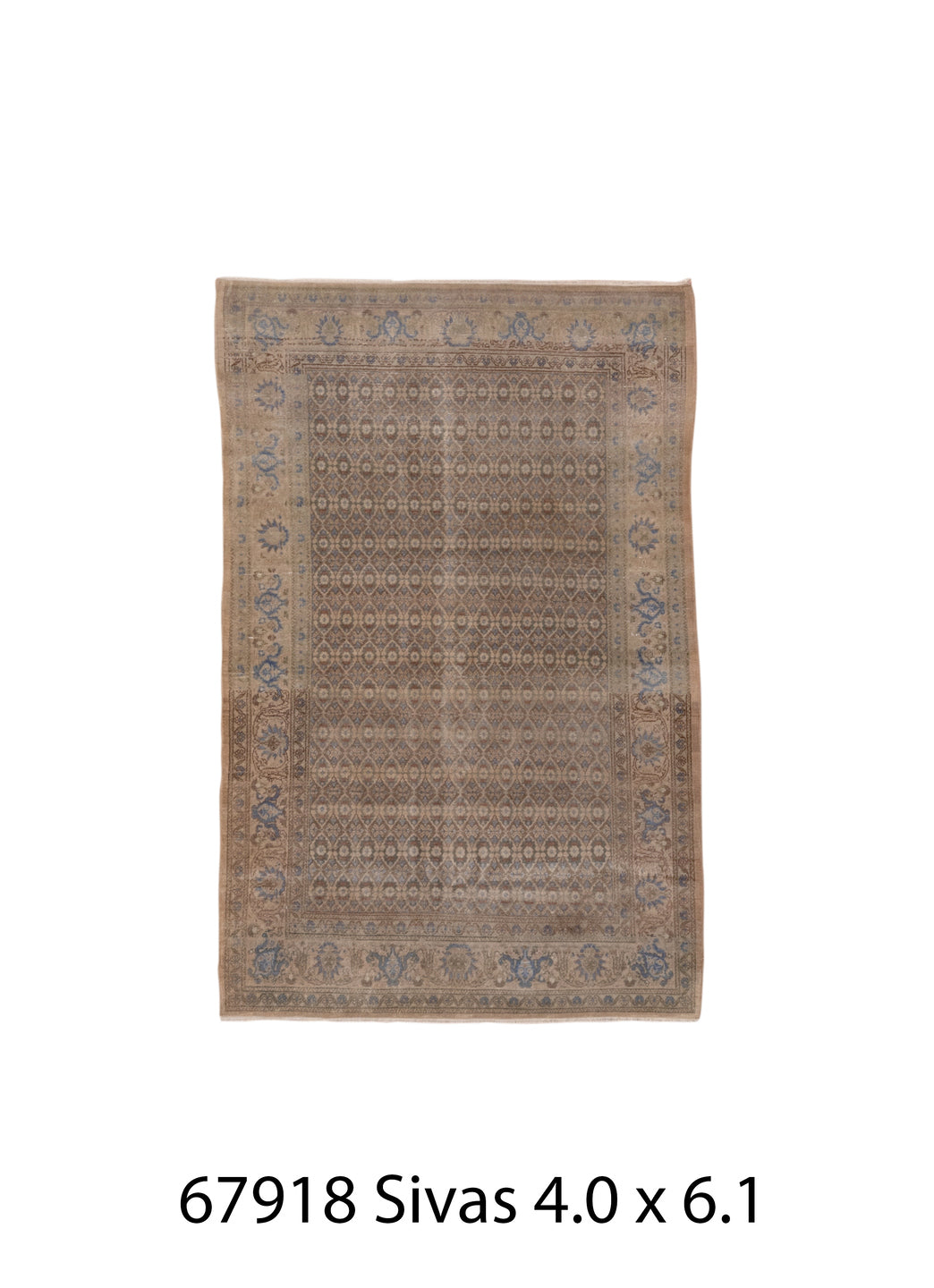 C67918 Rug