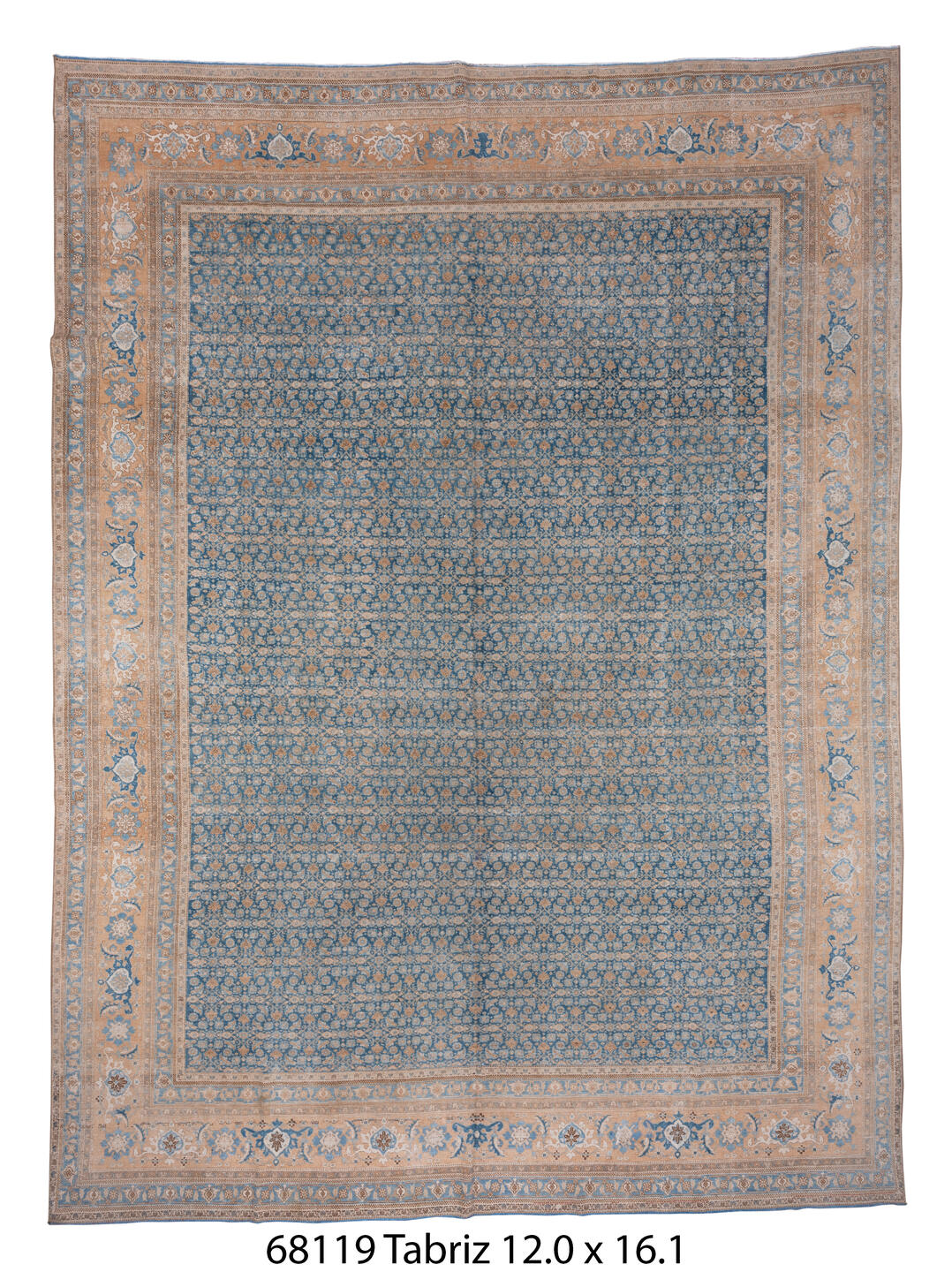 C68119 Rug