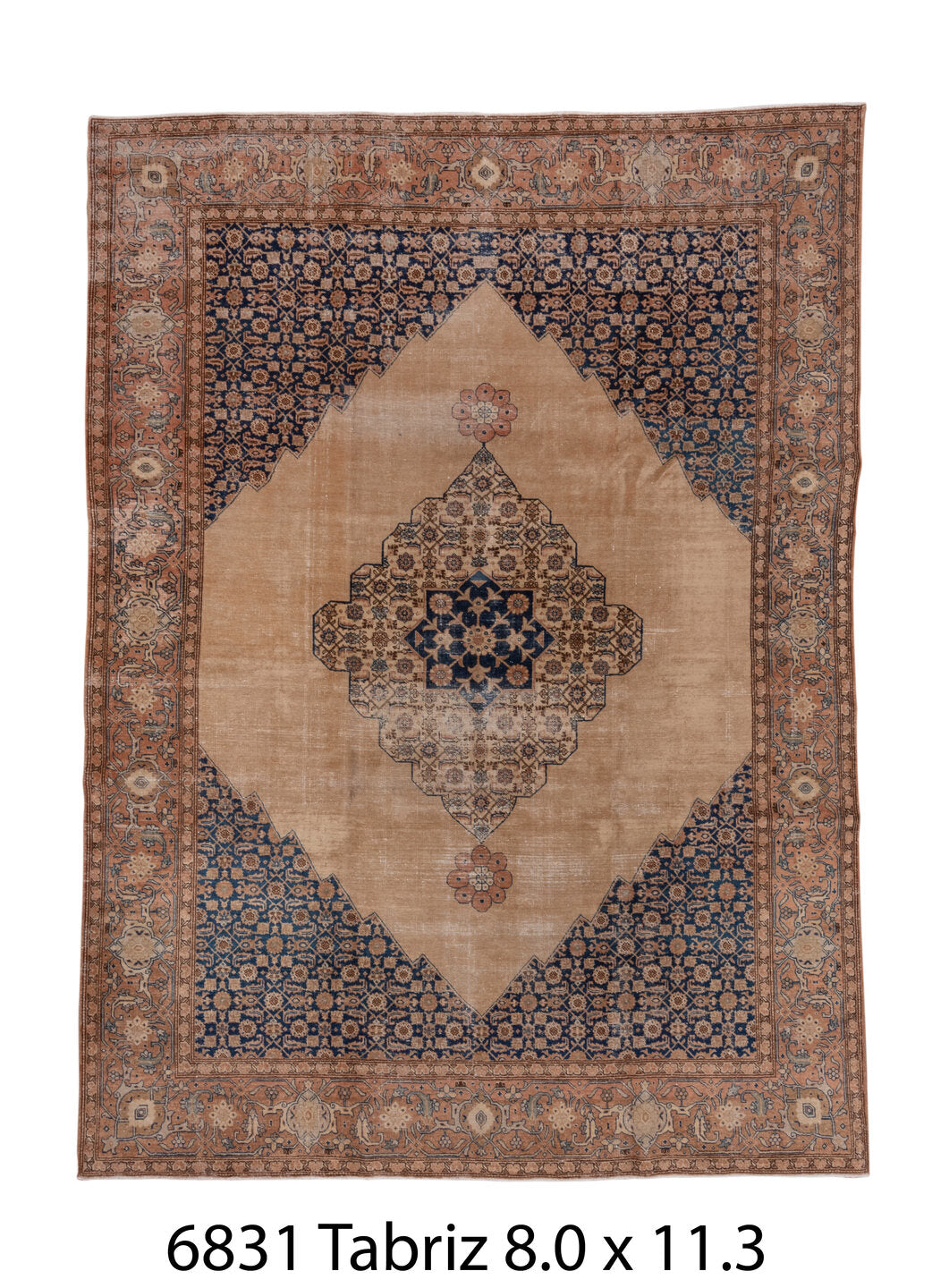 C06831 Rug