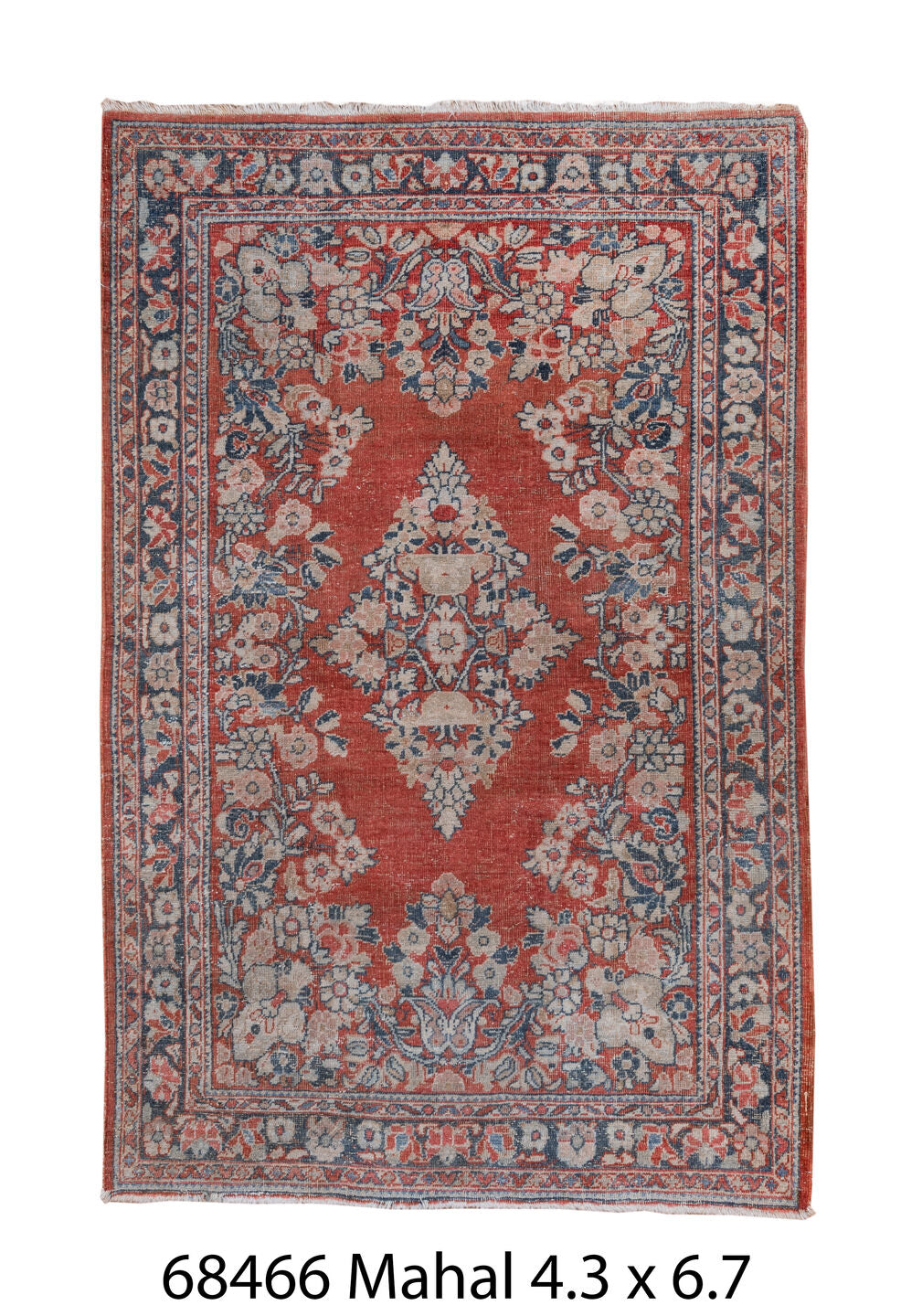 C68466 Rug
