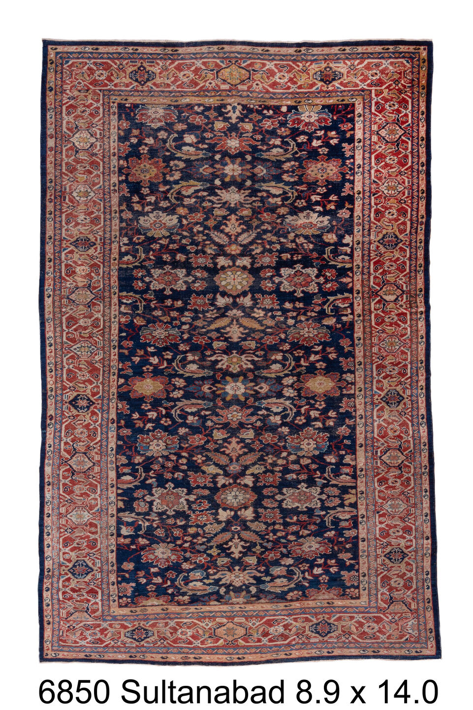 C06850 Rug