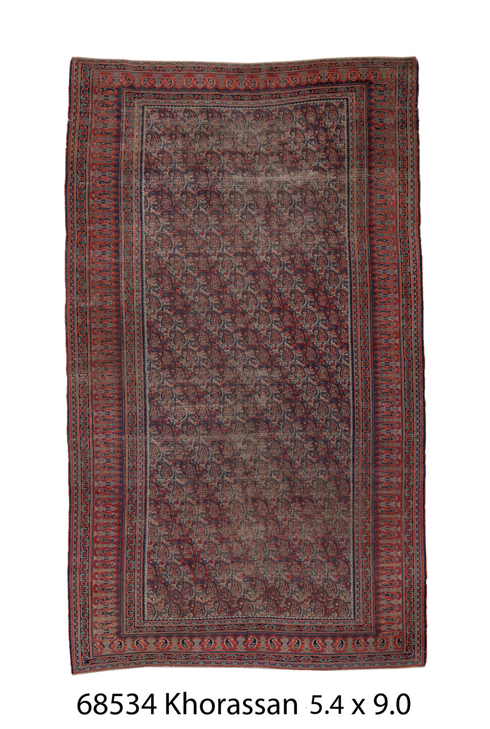 C68534 Rug