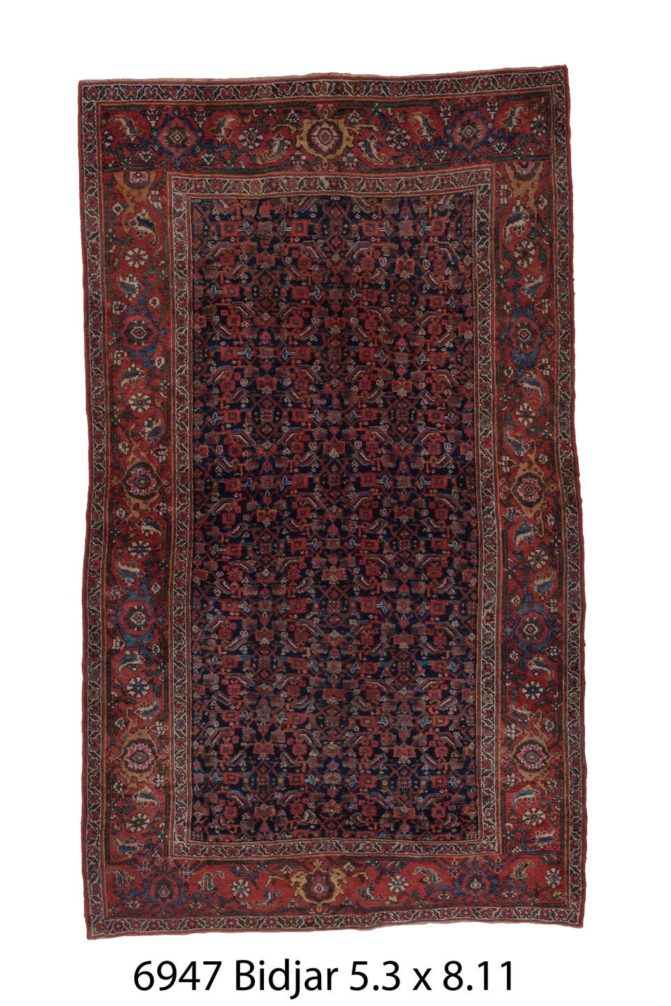 C06947 Rug