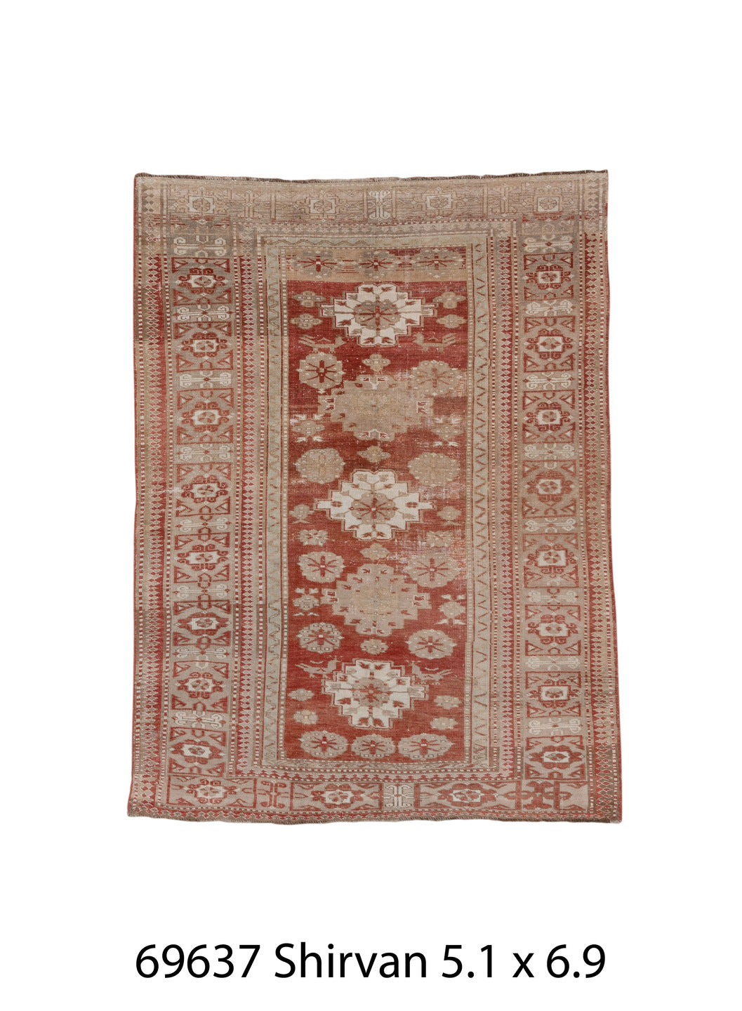 C69637 Rug
