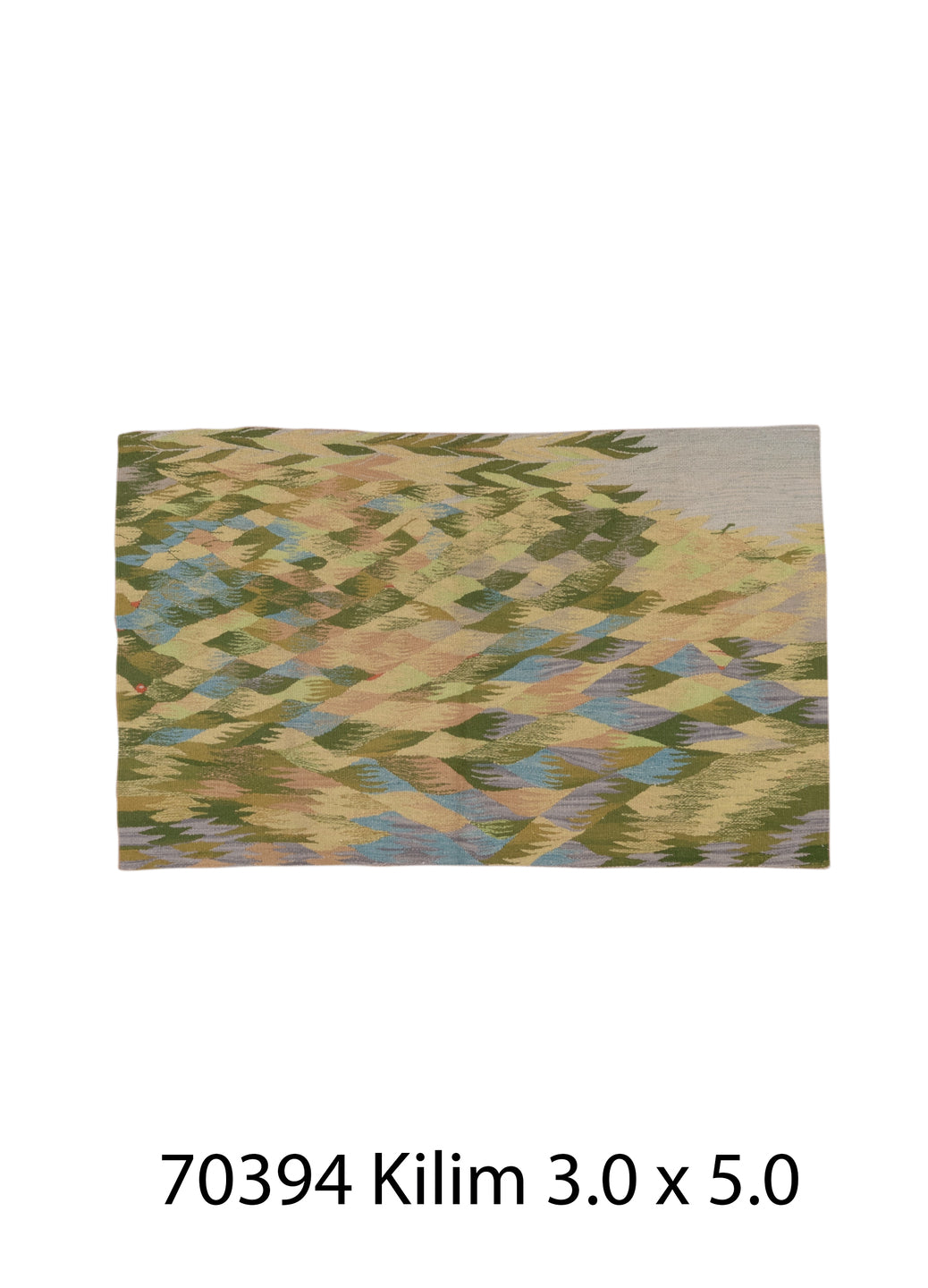 070394 Rug