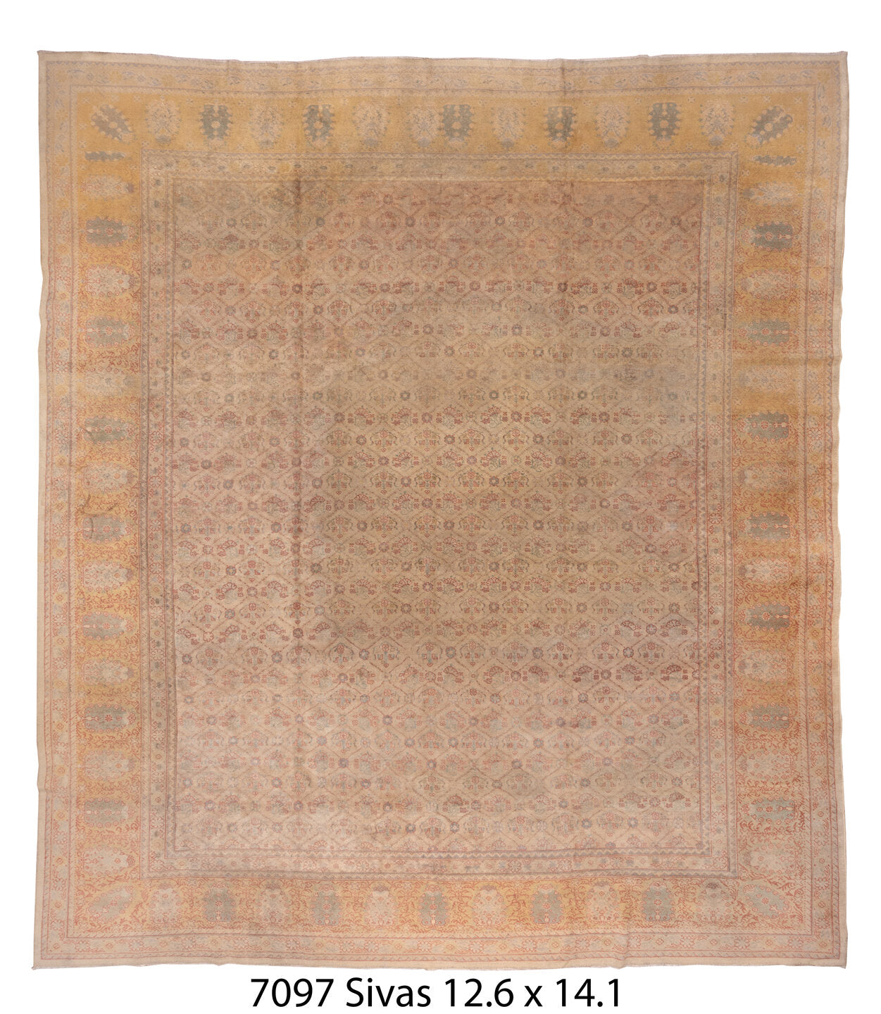 C07097 Rug