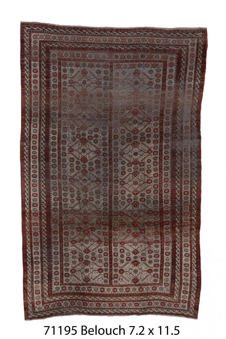 071195 Rug