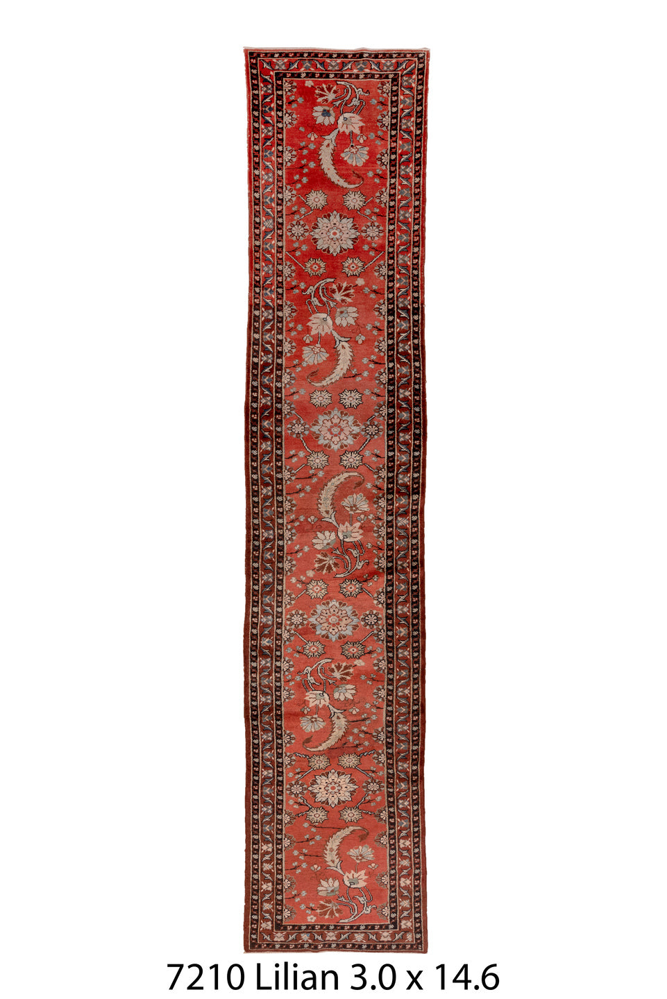 C07210 Rug