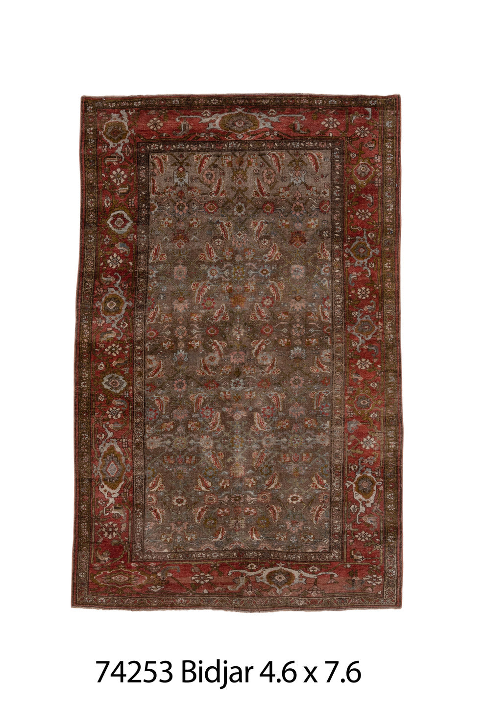 074253 Rug