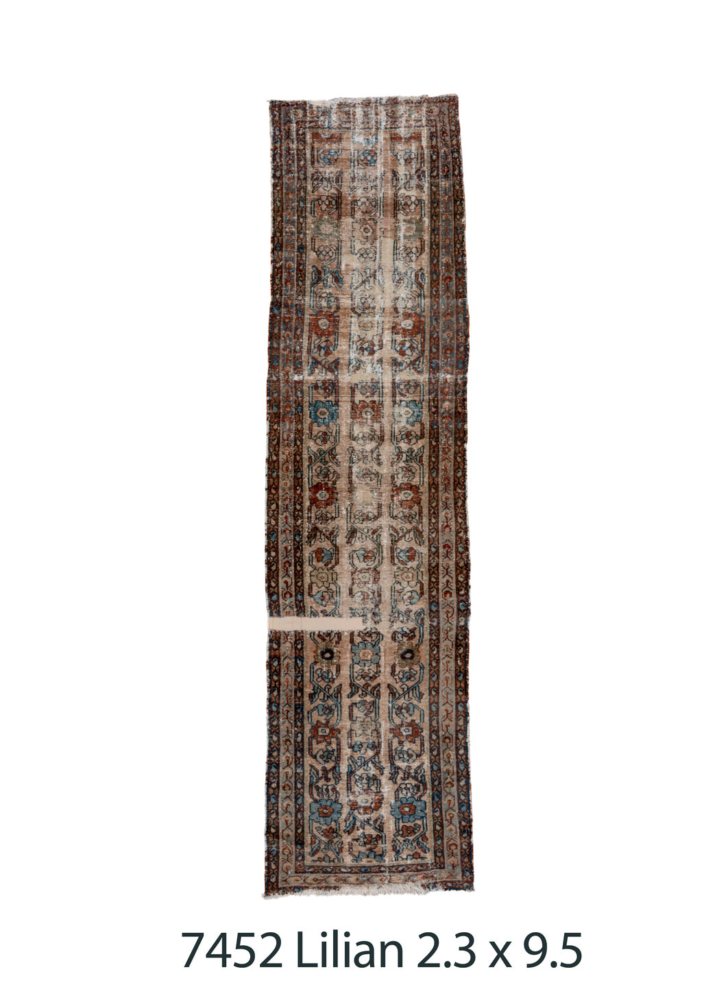 C07452 Rug