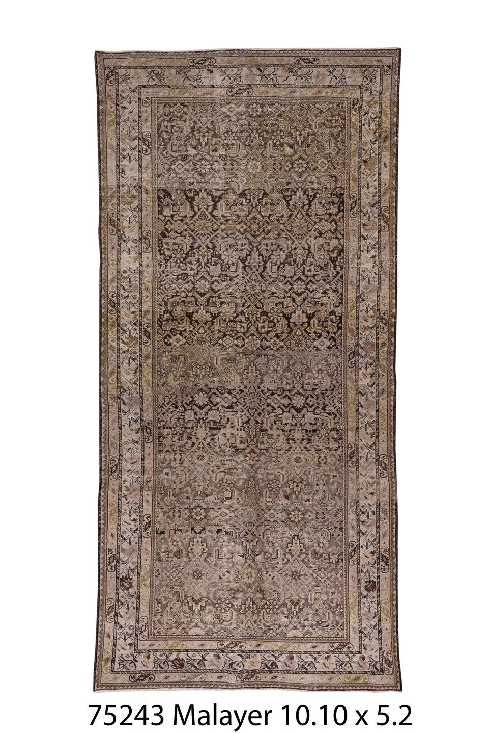 075243 Rug