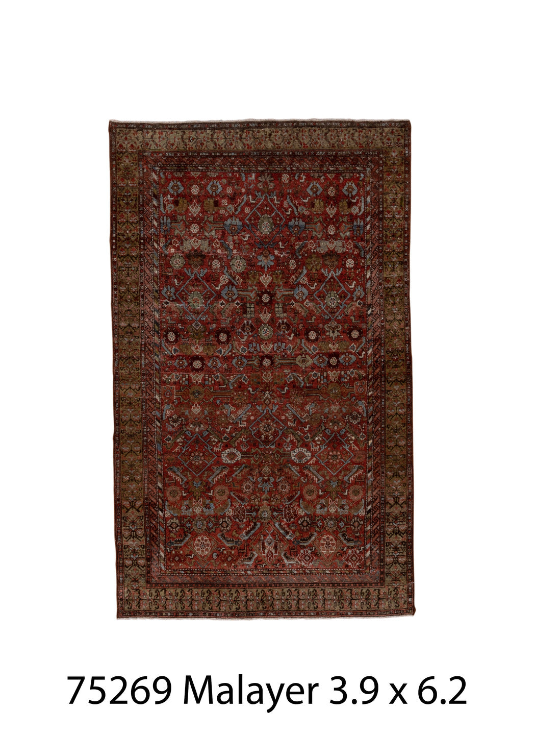 075269 Rug