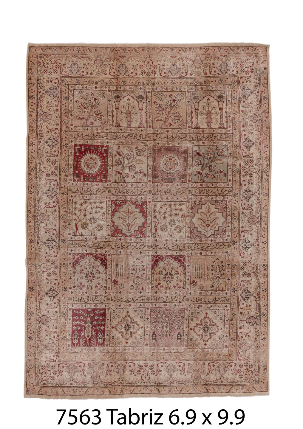C07563 Rug
