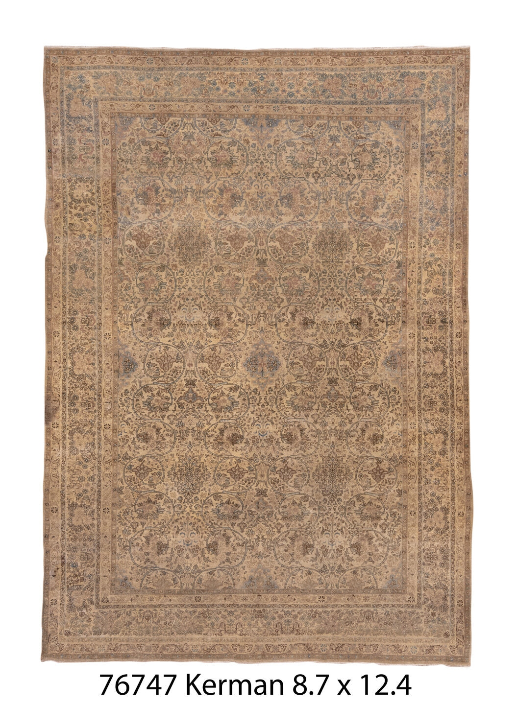 076747 Rug