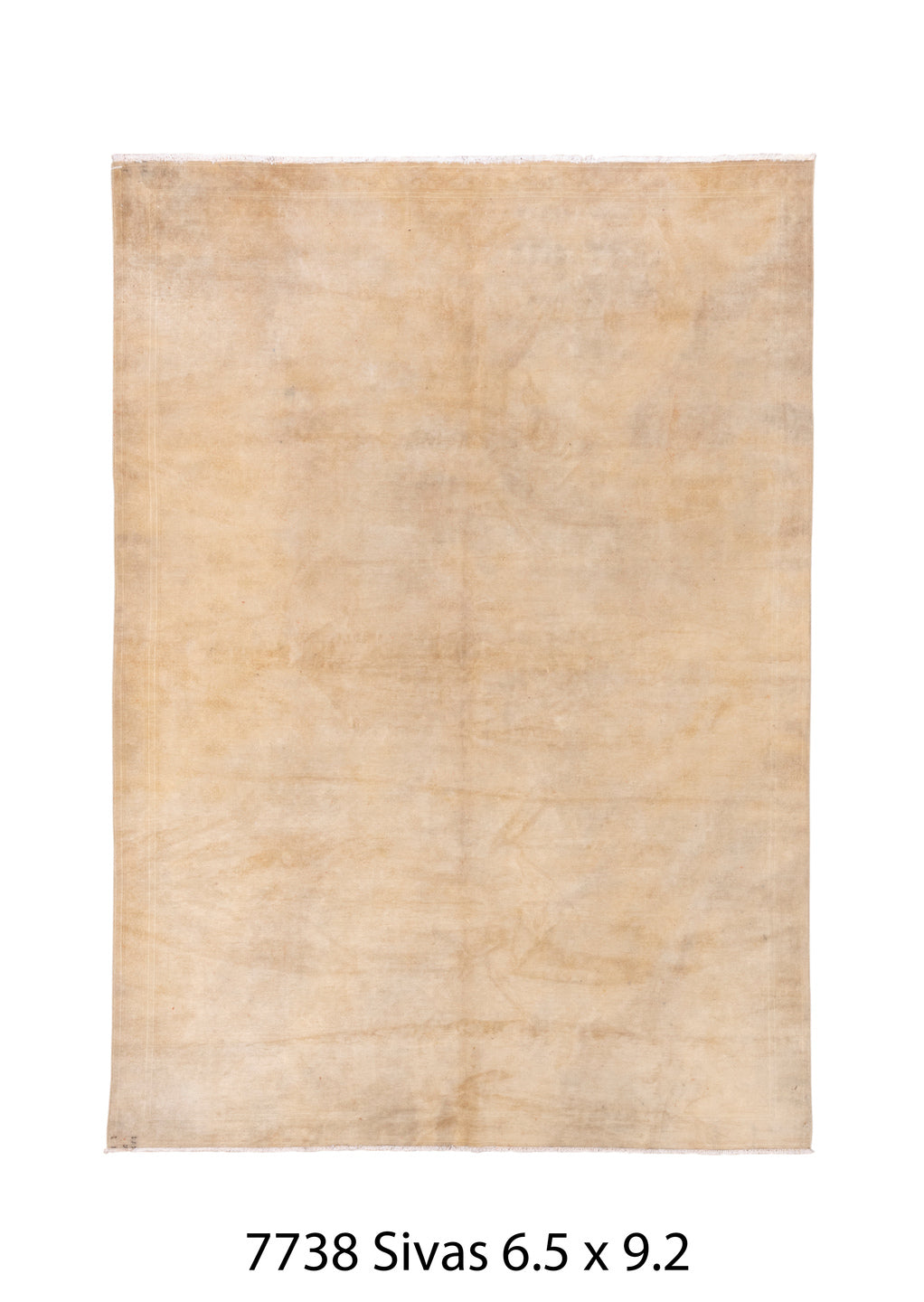 C07738 Rug
