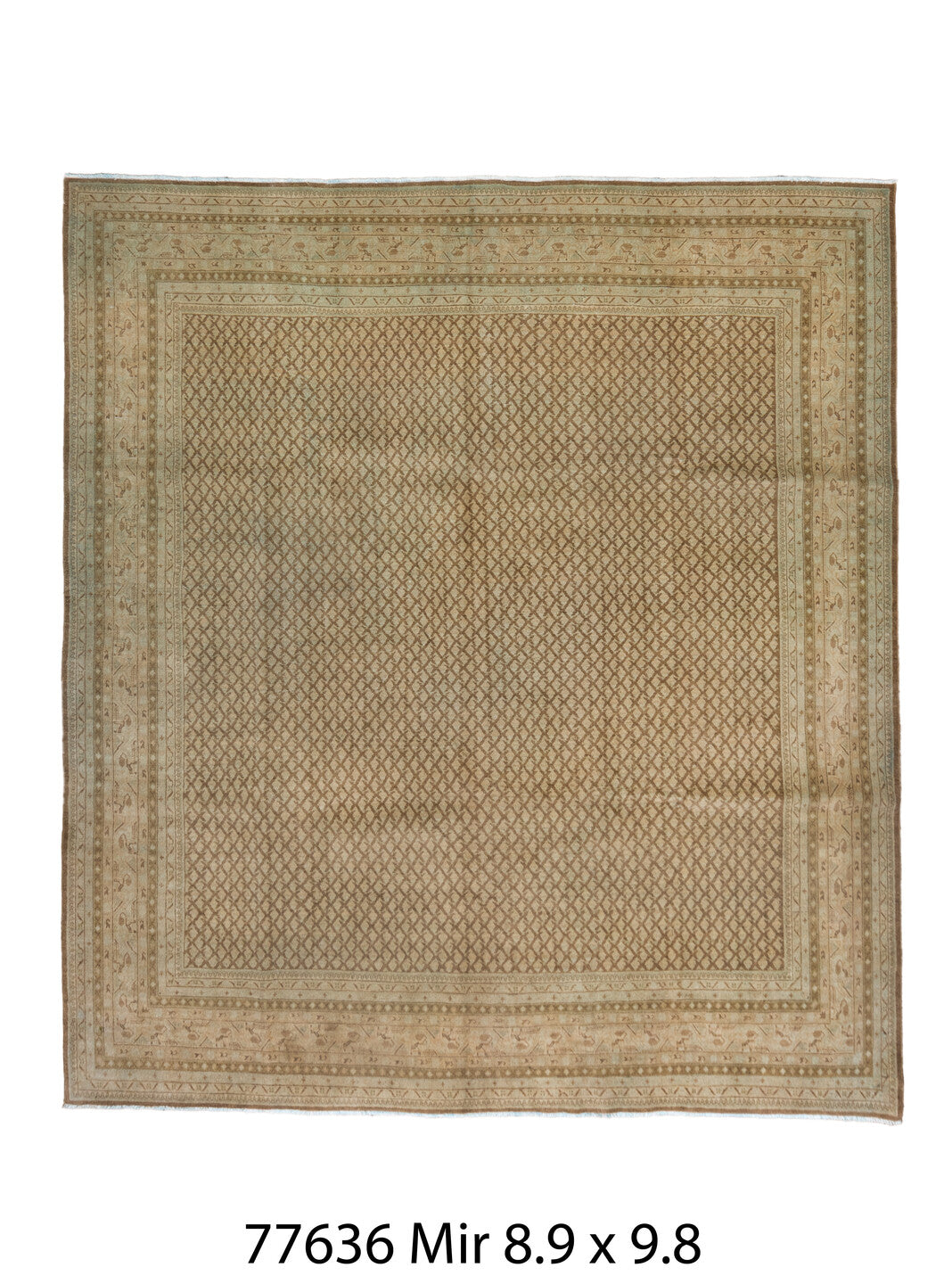077636 Rug