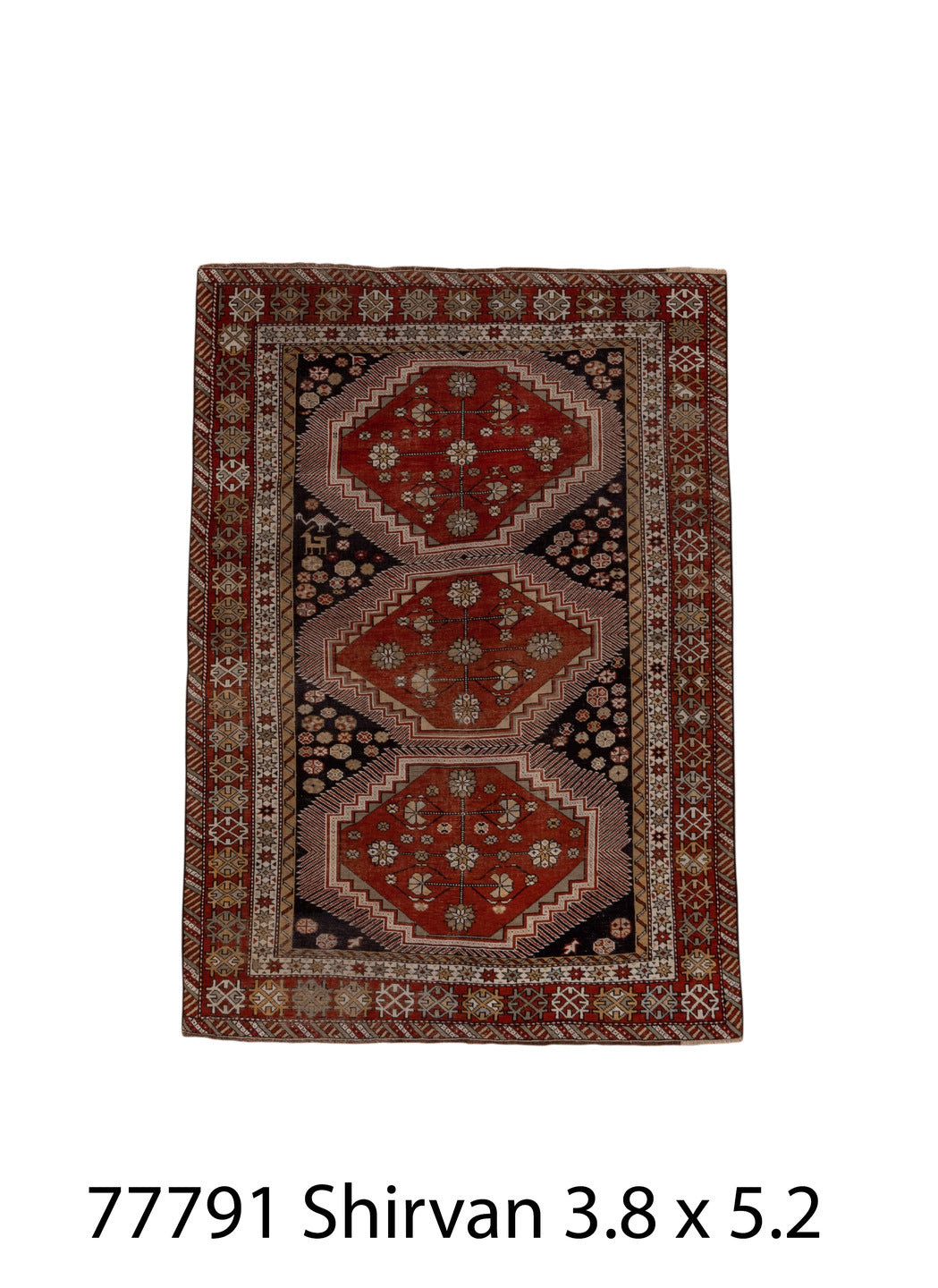 077791 Rug
