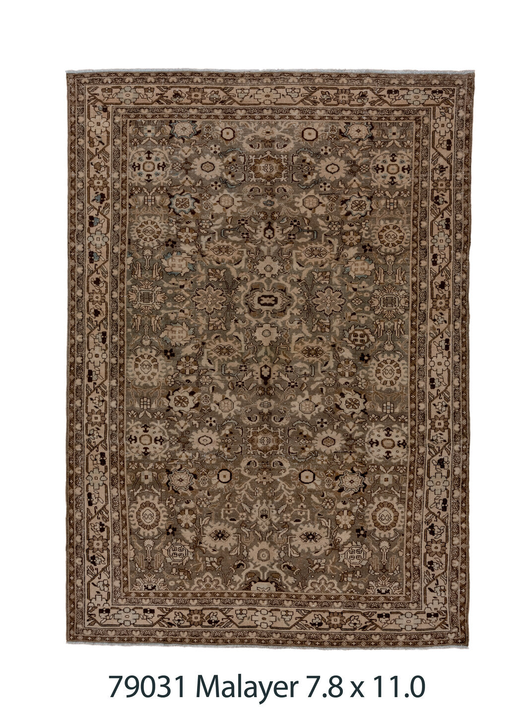 079031 Rug