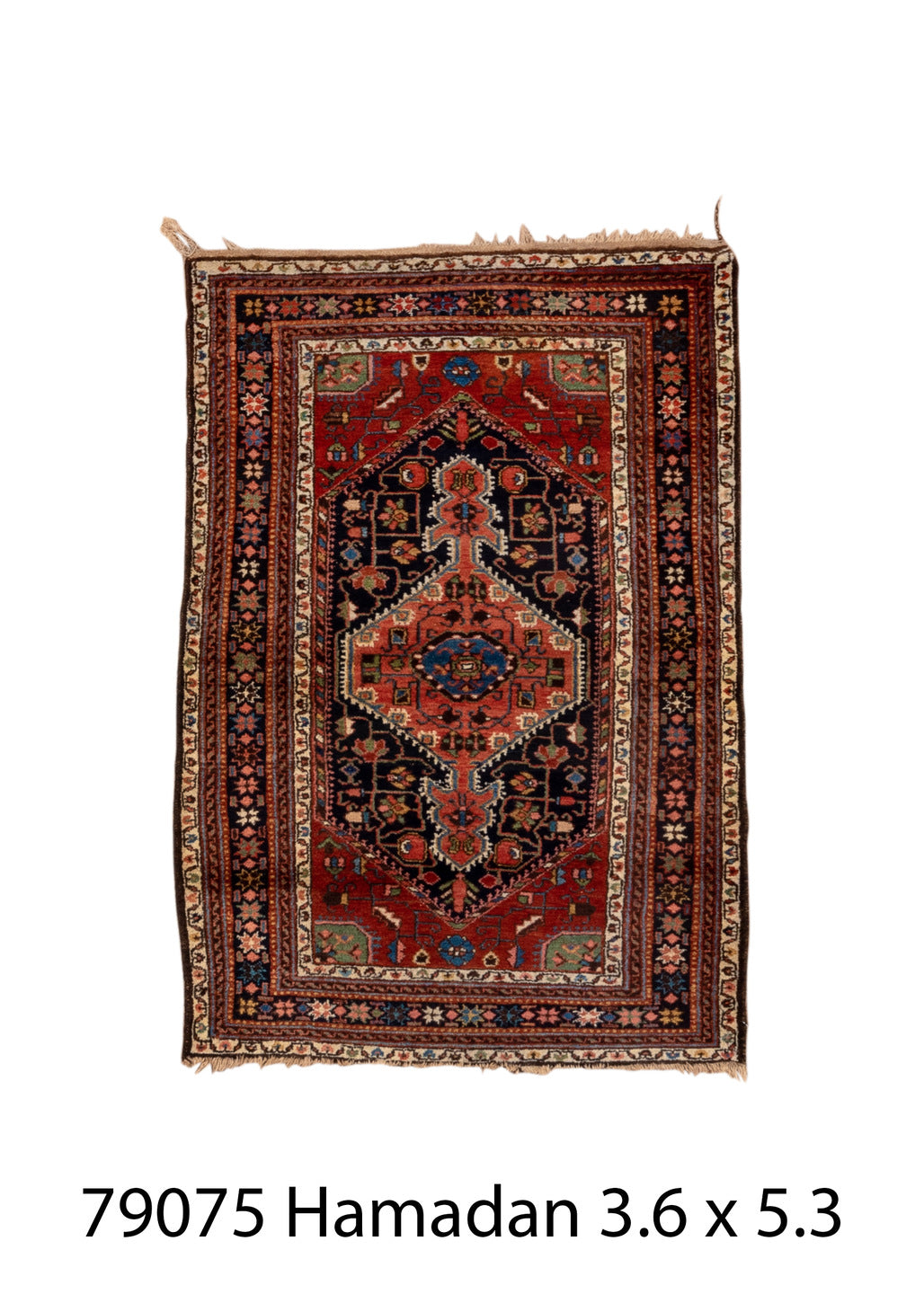 079075 Rug