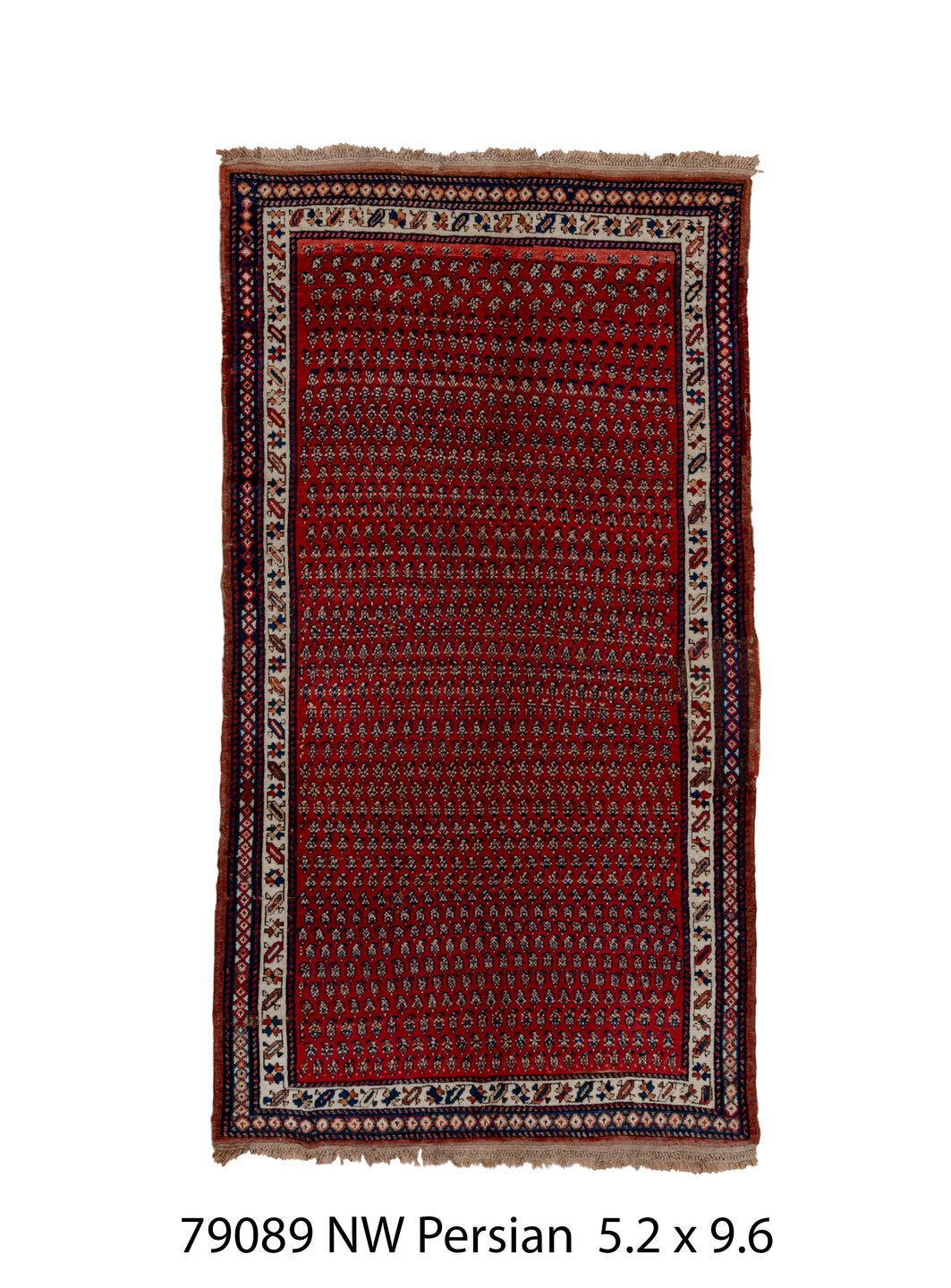 079089 Rug
