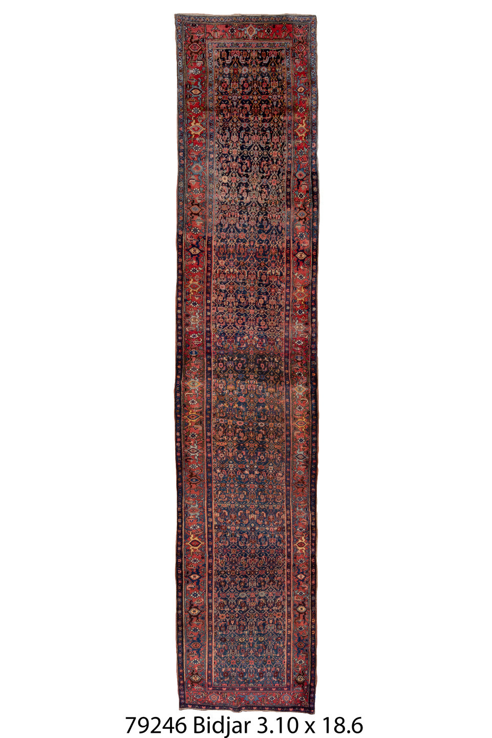 079246 Rug