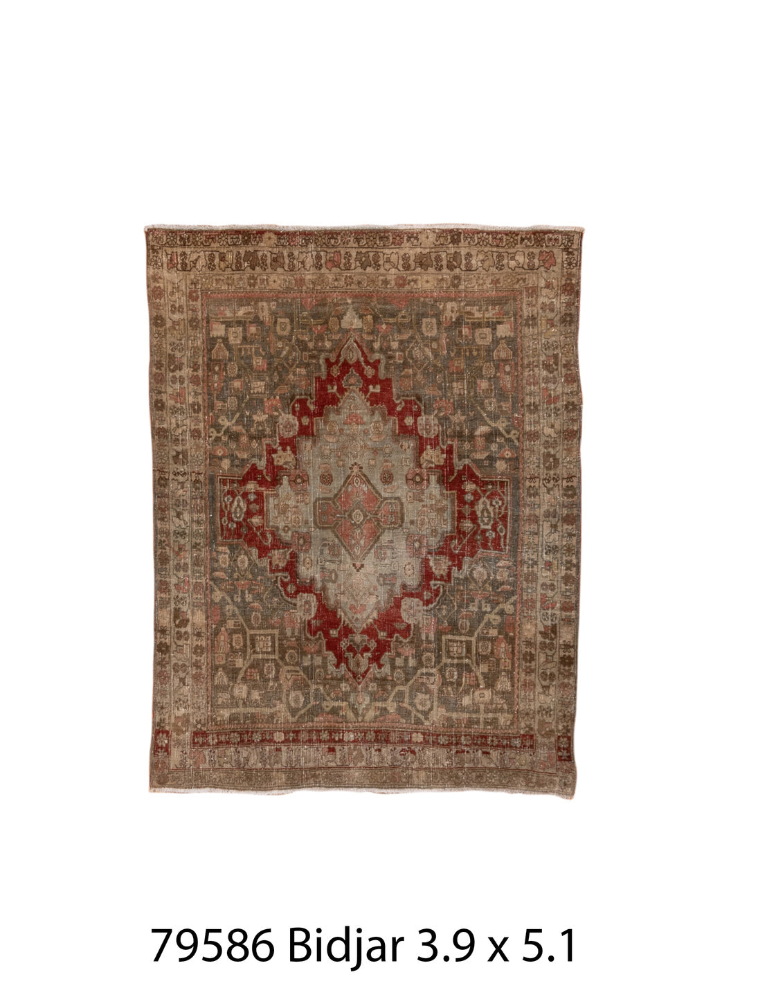 079586 Rug