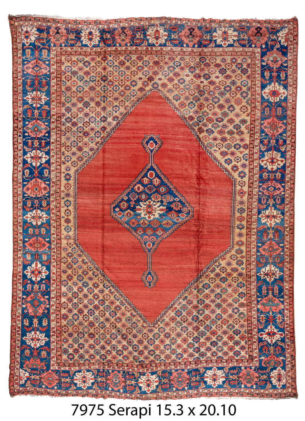 C07975 Rug
