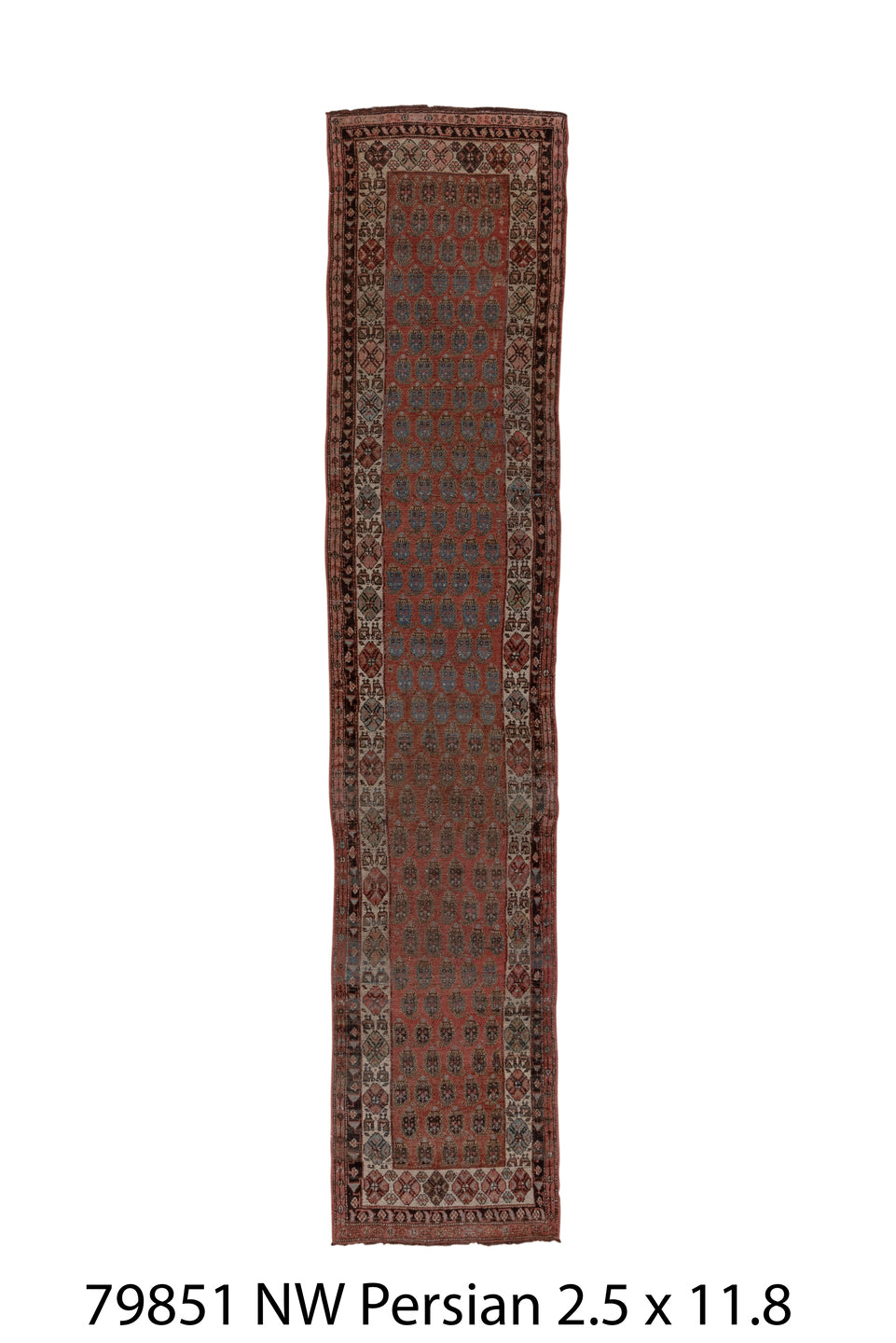 079851 Rug