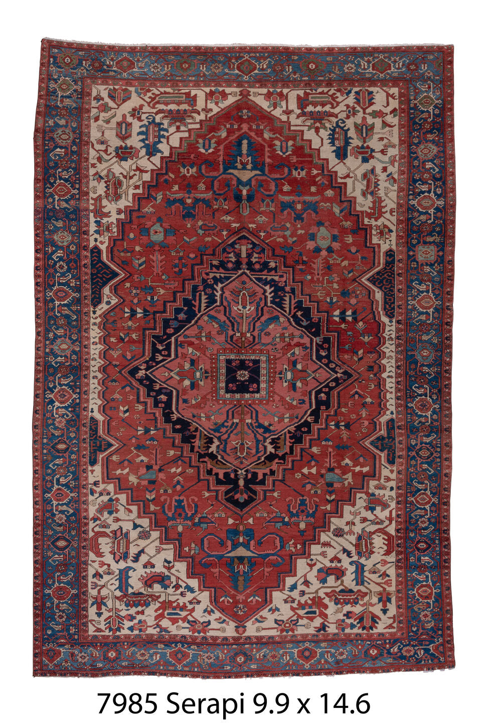 C07985 Rug