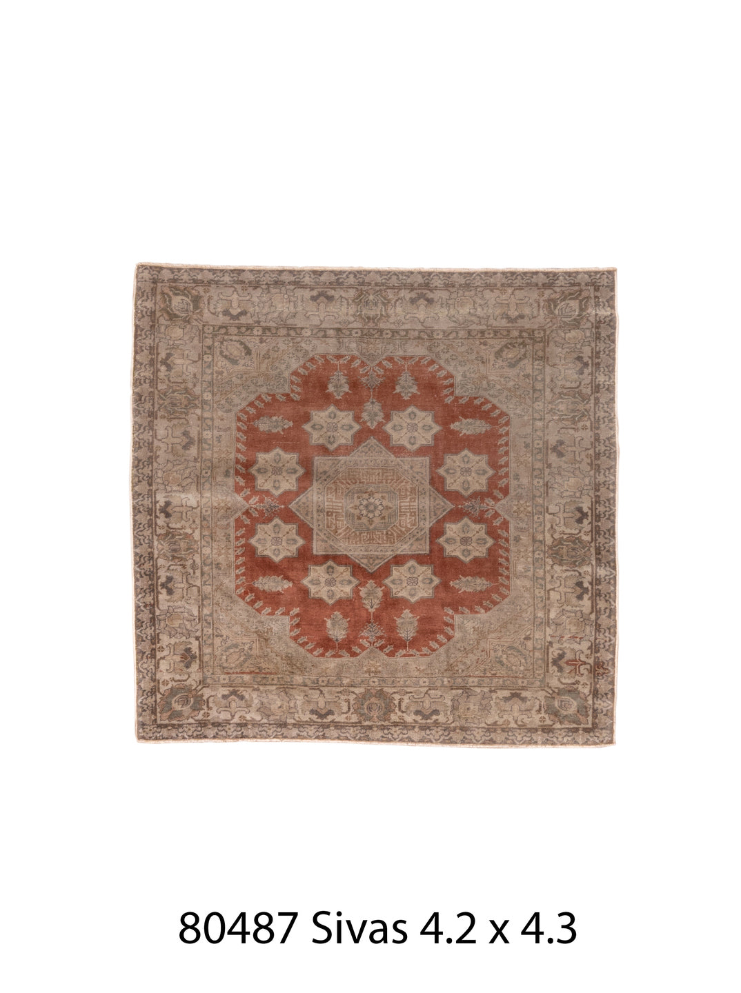 080487 Rug