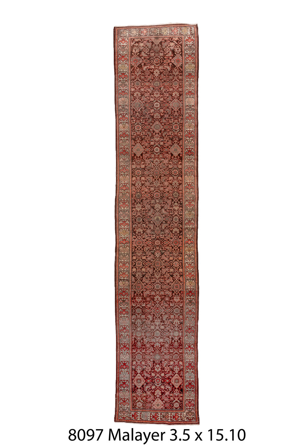 C08097 Rug