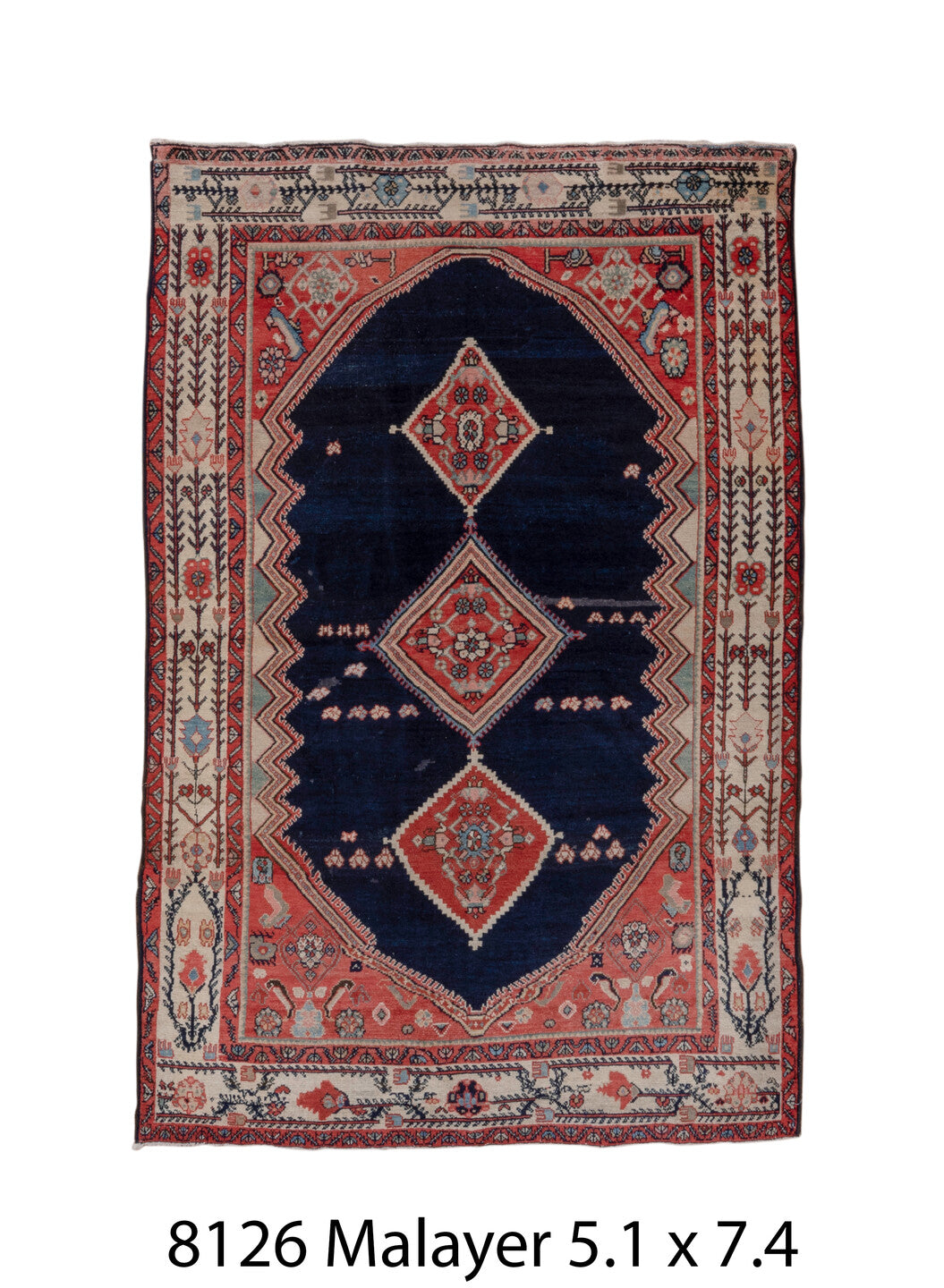 C08126 Rug