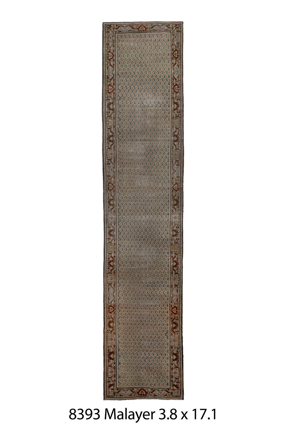 C08393 Rug