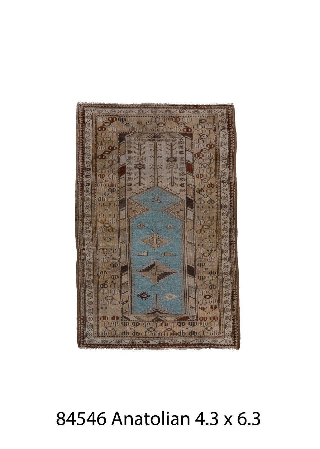 084546 Rug